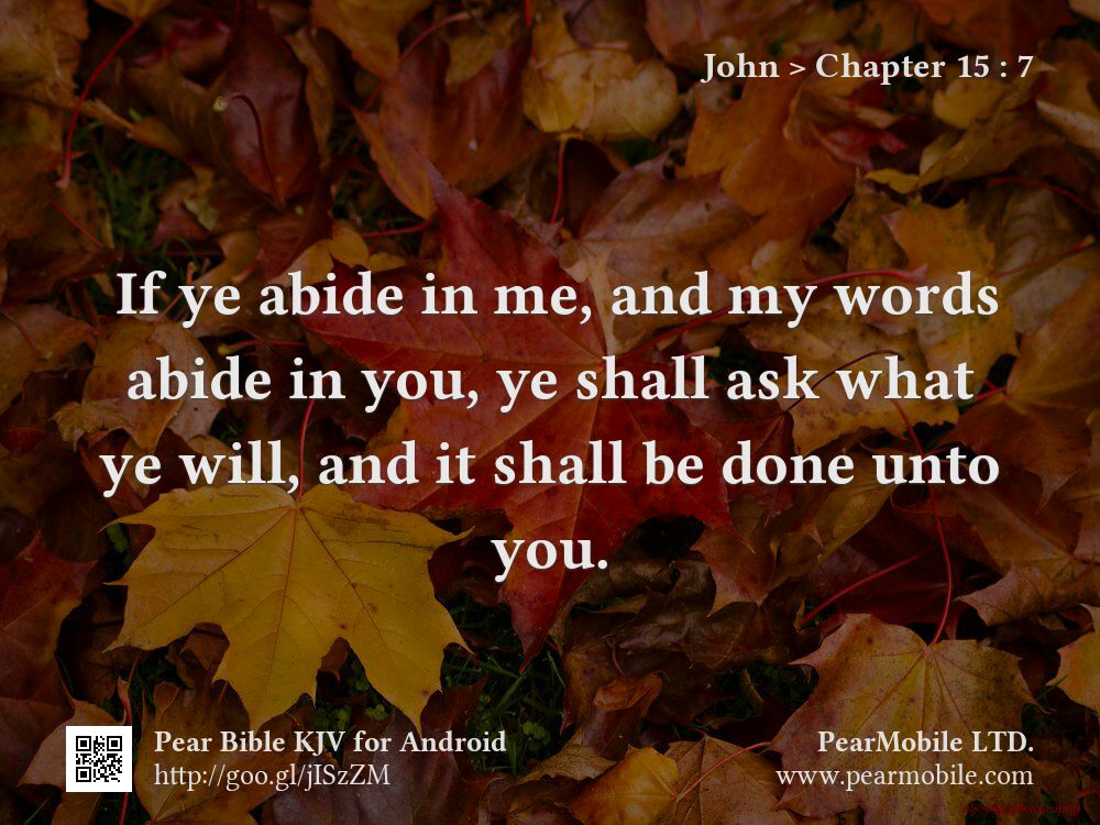 John, Chapter 15:7